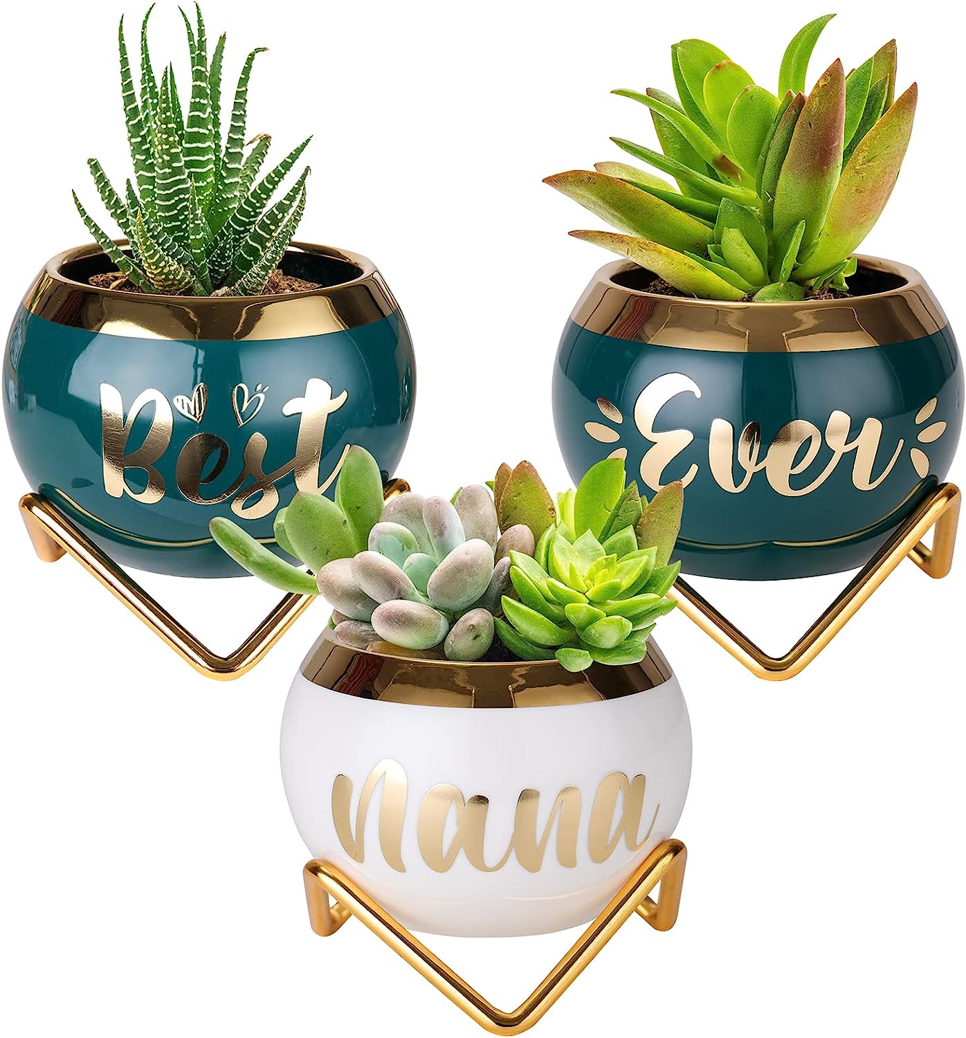 Best Nana Ever Succulent Pots - Birthday Gifts for Nana