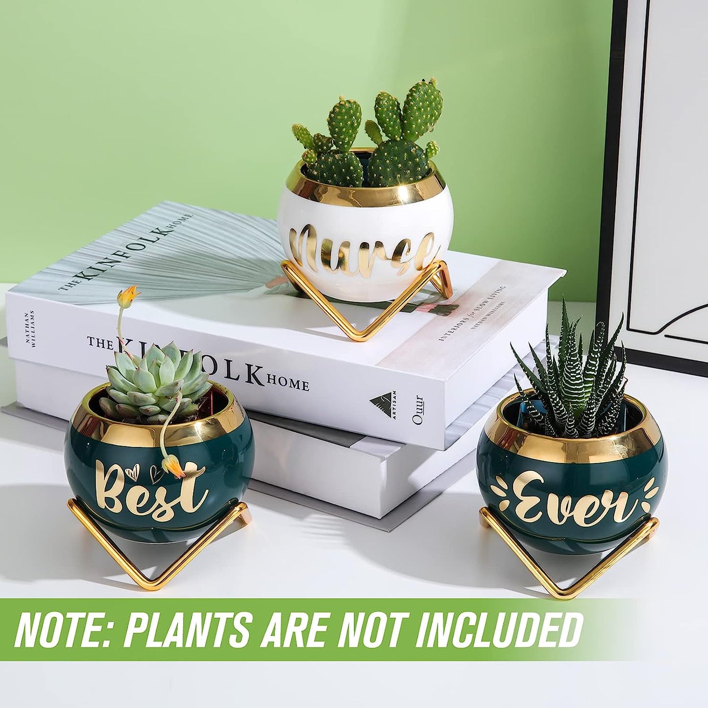 Best Nana Ever Succulent Pots - Birthday Gifts for Nana