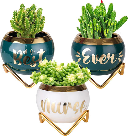 Best Nana Ever Succulent Pots - Birthday Gifts for Nana