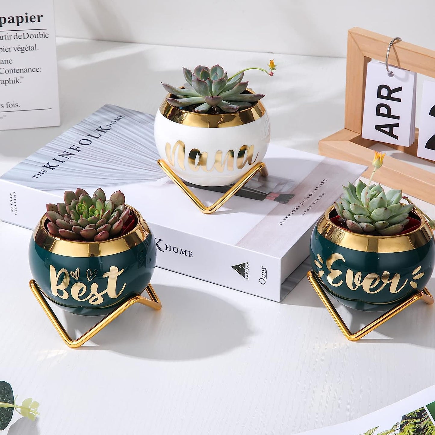 Best Nana Ever Succulent Pots - Birthday Gifts for Nana