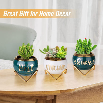 Best Nana Ever Succulent Pots - Birthday Gifts for Nana