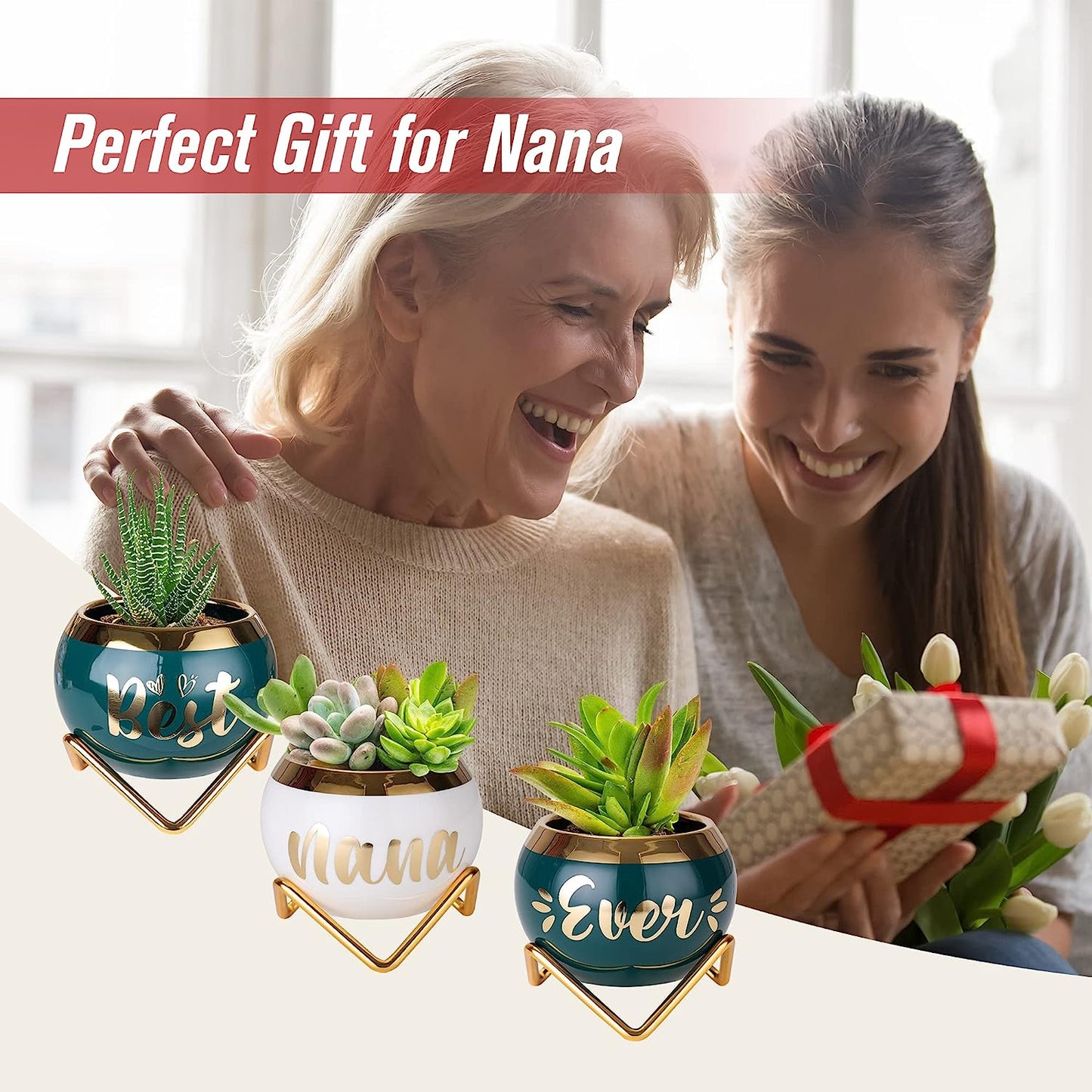 Best Nana Ever Succulent Pots - Birthday Gifts for Nana